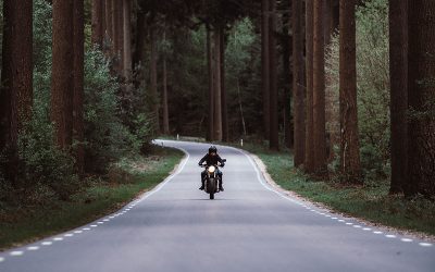 The Motorcycle and the Artist