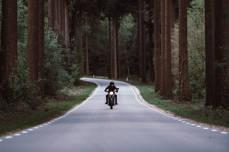 The Motorcycle and the Artist